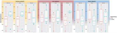 Comparative analysis of fasting effects on the cecum microbiome in three guinea pig breeds: Andina, Inti, and Peru